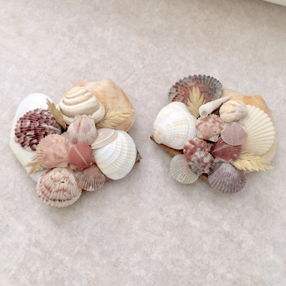 LP Real Sea Shells on Cork Magnets Large 3” Across | Set of 2